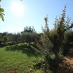 Apartamento Alma A2 Novigrad Istria