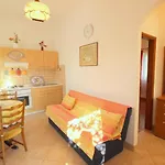 Alma A2 Novigrad Istria