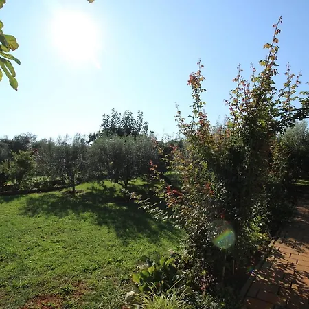 Apartman Alma A2 Novigrad (Istria)