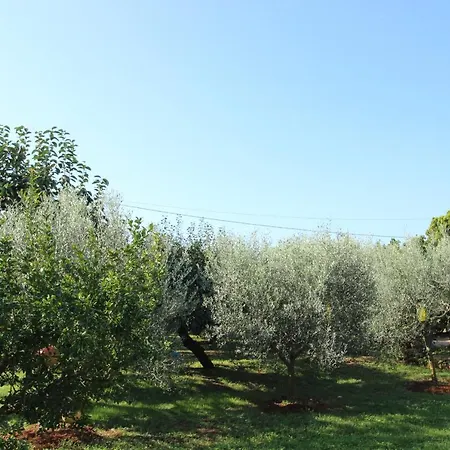 Apartment Alma A2 *