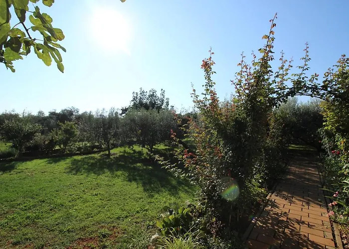 Apartment Alma A2 Novigrad Istria