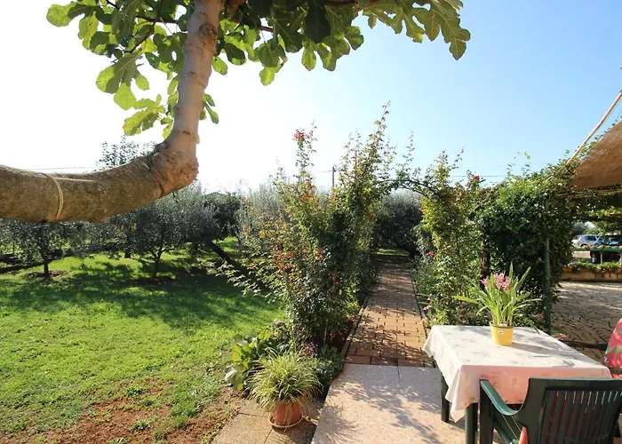 Alma A2 Apartment Novigrad Istria