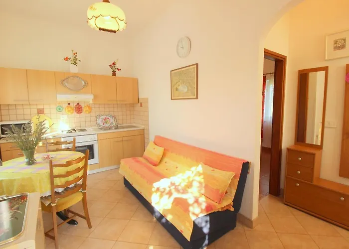 Alma A2 Novigrad Istria