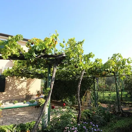 Alma A2 Lejlighed Novigrad Istria